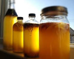 Kizz Kombucha